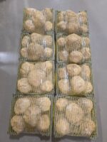 Faqa Ikhlas Saudi- ( الفقع إخلاص سعودي ) - Image 2