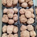 3f86f521-7c0e-498e-ab44-2b1c9b421ab3 (1)