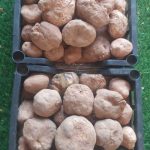 dd839470-c44c-4ee6-8504-982586897fcf (1)